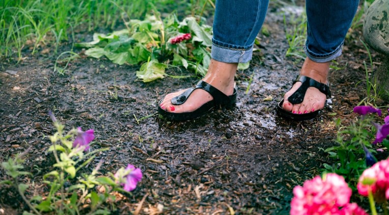 birkenstocks in the rain